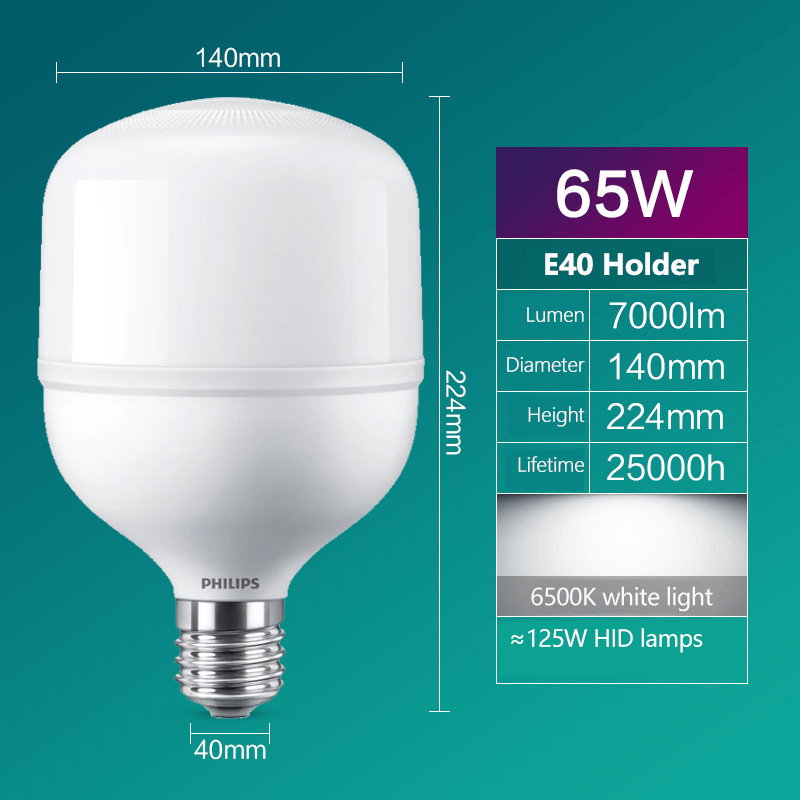 Żarówka LED Philips T160 E40 6 – Outdoor Lighting Philips recenzja i cena